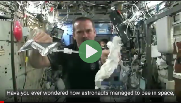 Screenshot 2026-01-25 014504