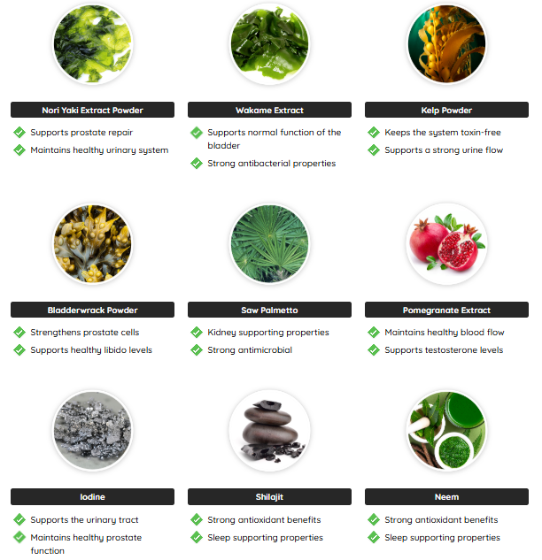 Screenshot 2026-01-27 172326